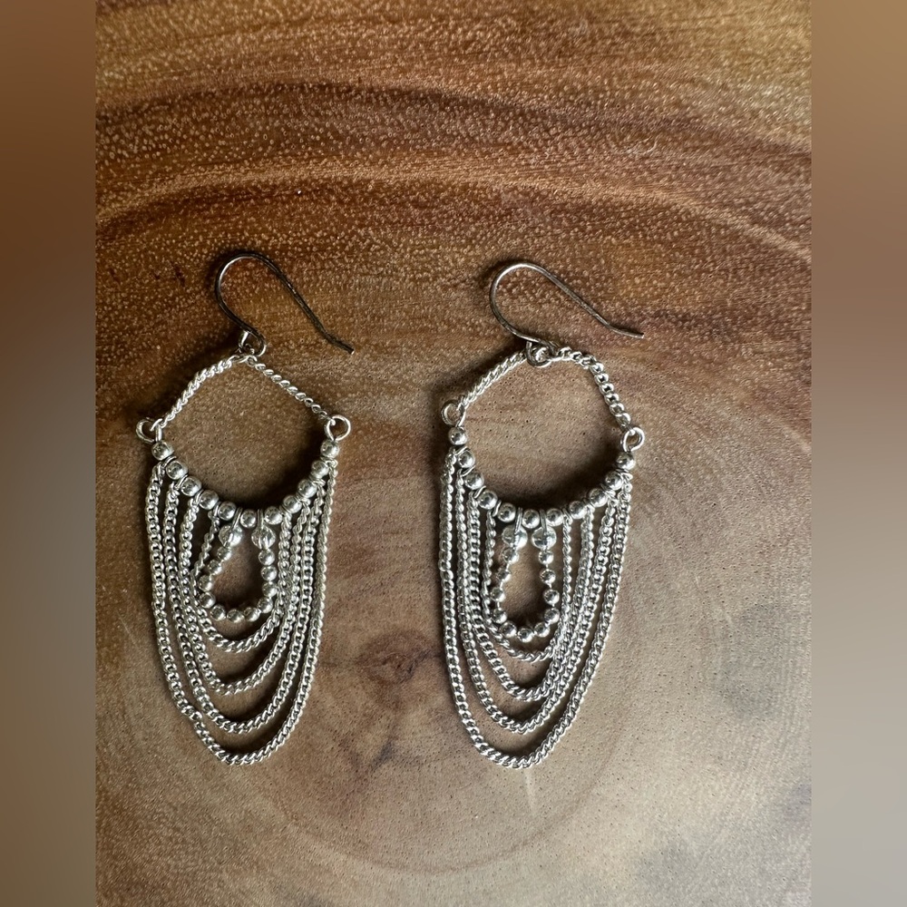 Chic Silver Dangle Earrings - image 1